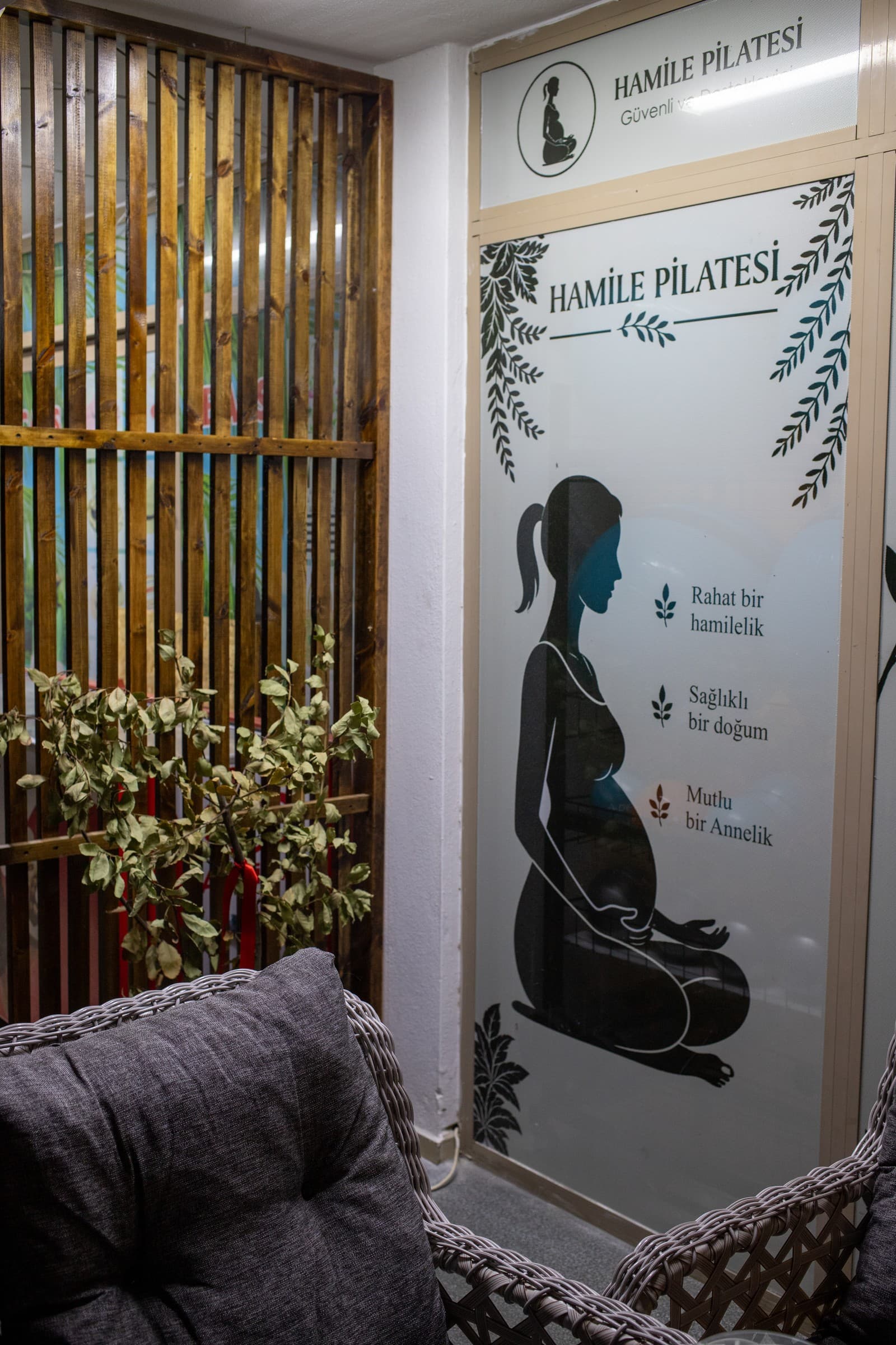 Pilates topu, çemberi ve yardımcı egzersiz ekipmanı detayı
